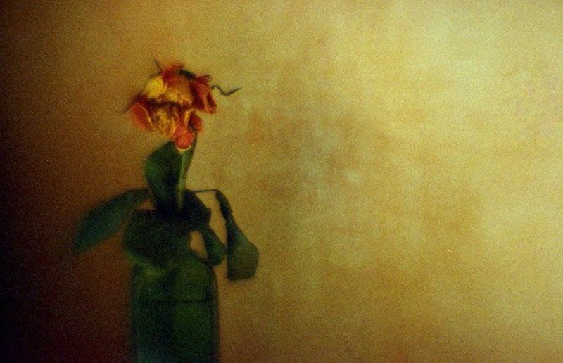 в оранжевых тонах...photo preview