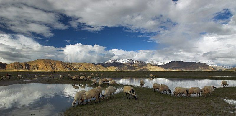 fotomafia, тибет,гималаи Гималаиphoto preview