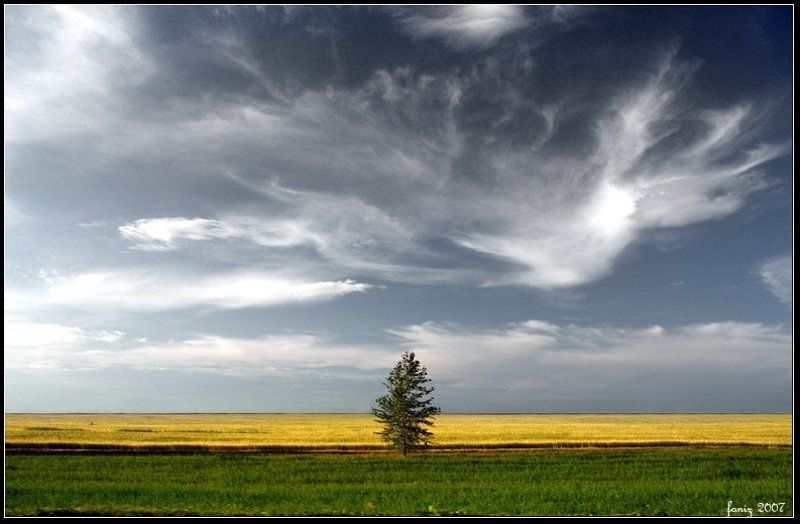 _________I____________ фото превью