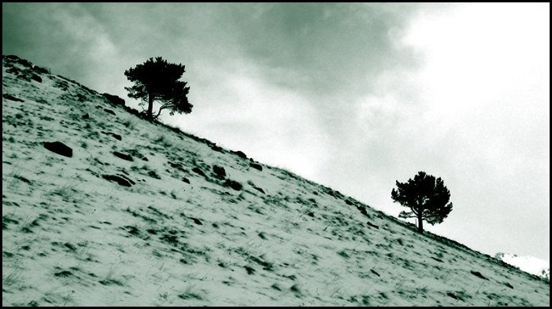 домбай, снег, горы, зима, небо Друга в горы возьми...photo preview