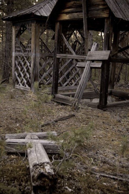 забвениеphoto preview