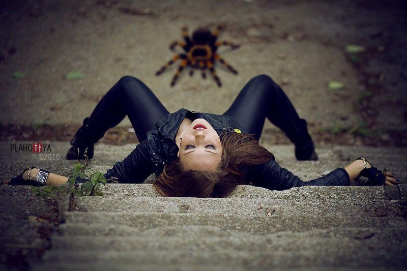 Павелительница пауковphoto preview