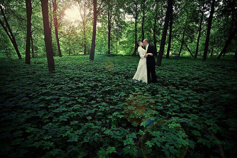 лес, ковер, молодые Наединеphoto preview