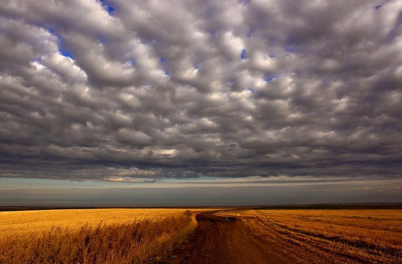алтай, утро, дорога \
