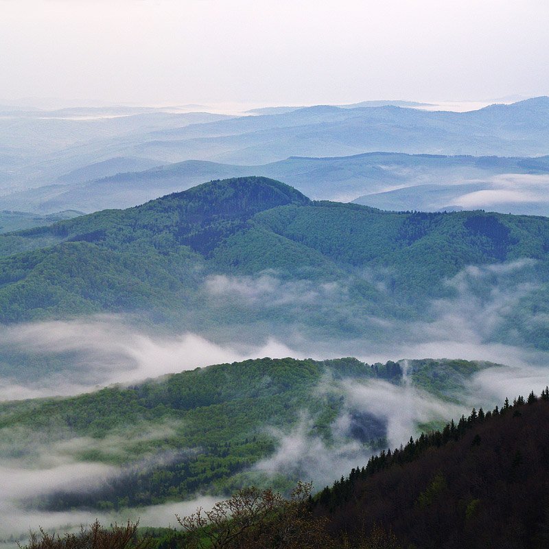 карпаты, боржава ...photo preview