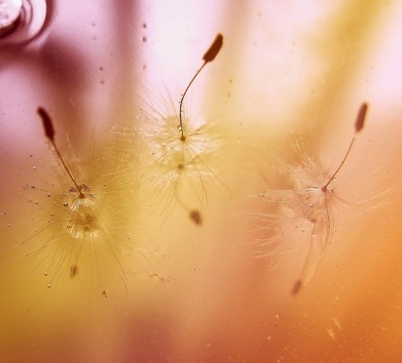 .....в хрустальном вальсе закружилась.....photo preview