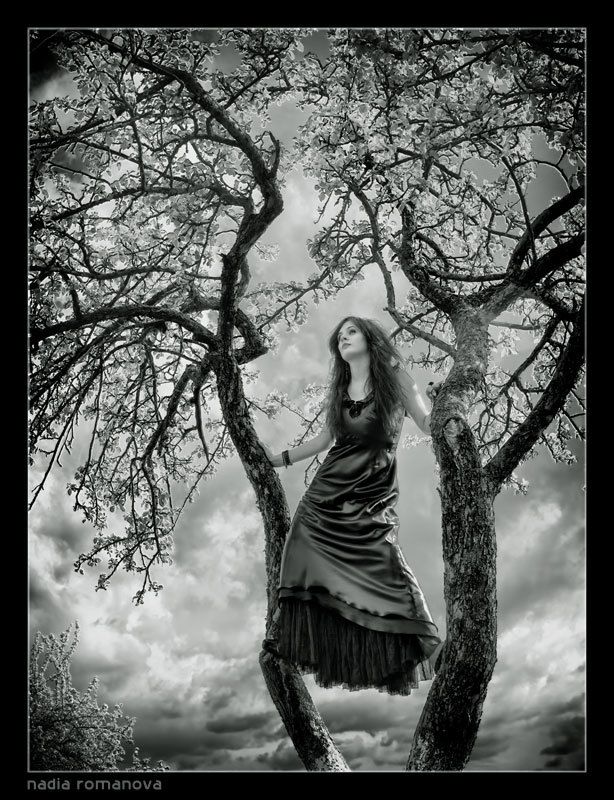 witch blossoms witchesphoto preview