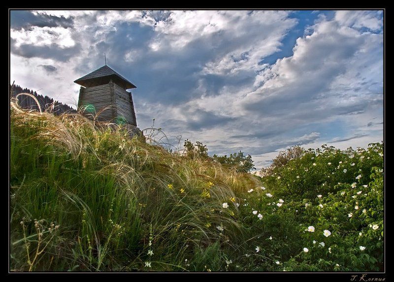о.хортица,заповедник,музей,крепость,ковыль Сторожевая башняphoto preview