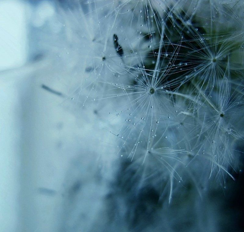 Какие тайны хранит эта бриллиантовая россыпь звёзд? ...photo preview