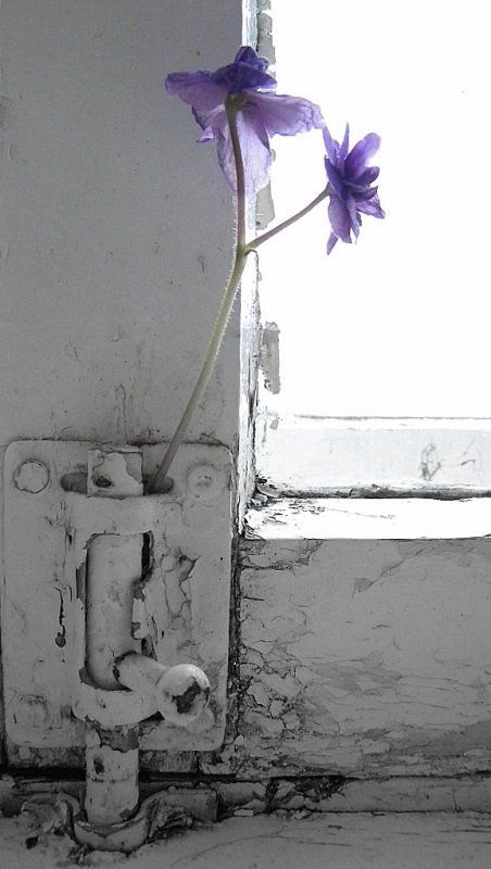 Ожидание конца и началаphoto preview