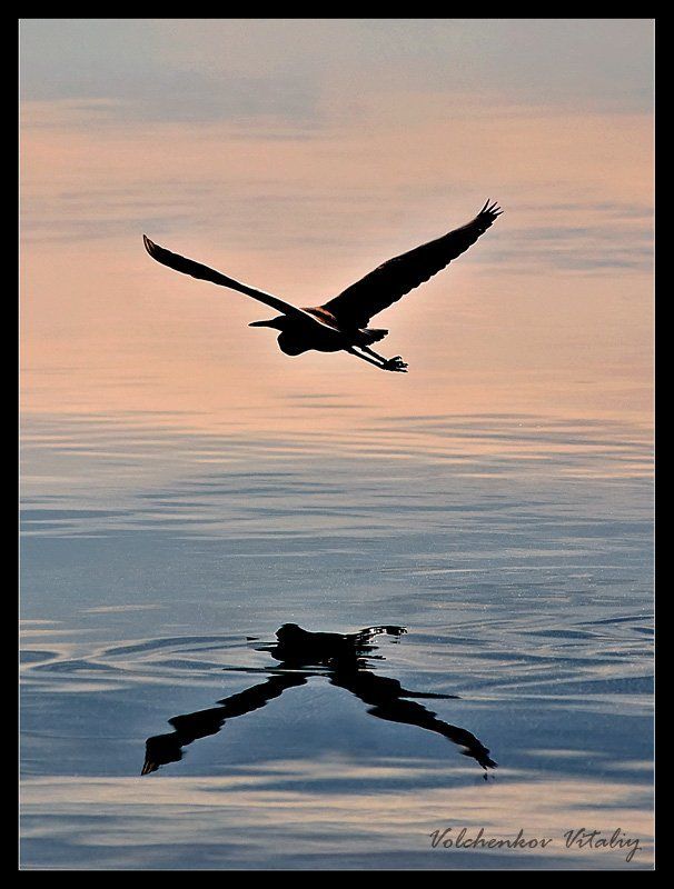 фото Полетphoto preview