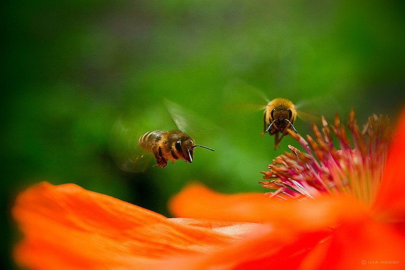 Завтрак на двоихphoto preview