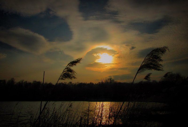 природа,пейзаж Солнышко в ладошке.photo preview