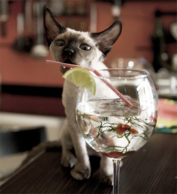 рыыыыыбки!!!!!!photo preview