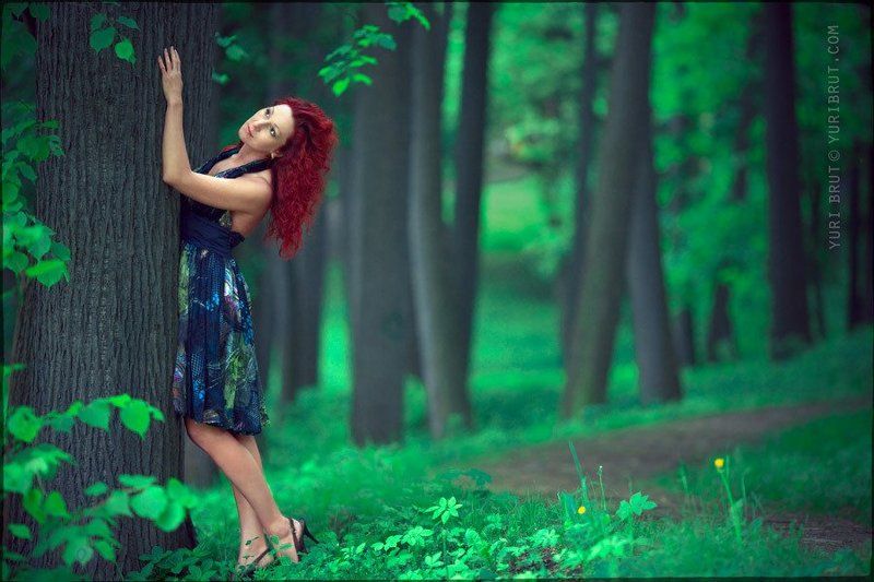 The wood symphonyphoto preview