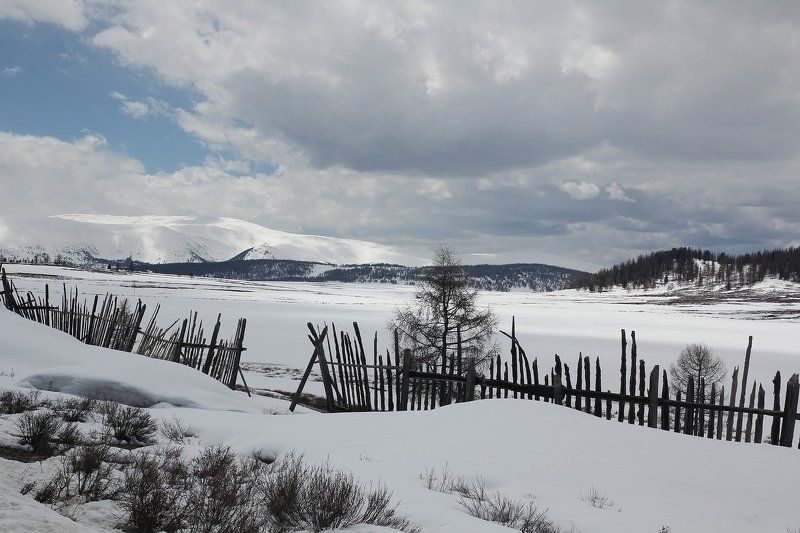 23 мая.Весна...на Улагане.Горный Алтай.photo preview