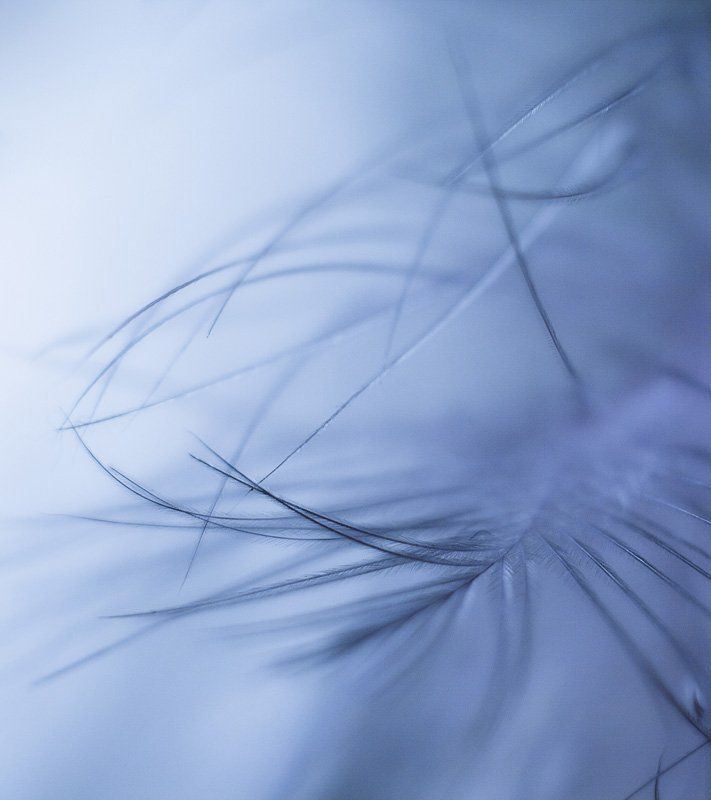 Легкаяphoto preview