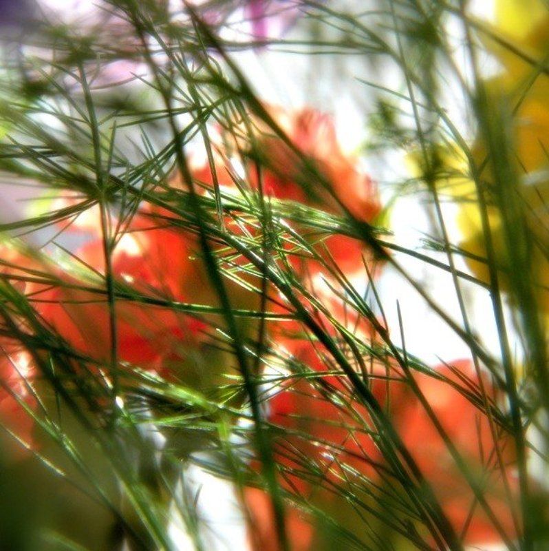 Мимолётное...photo preview