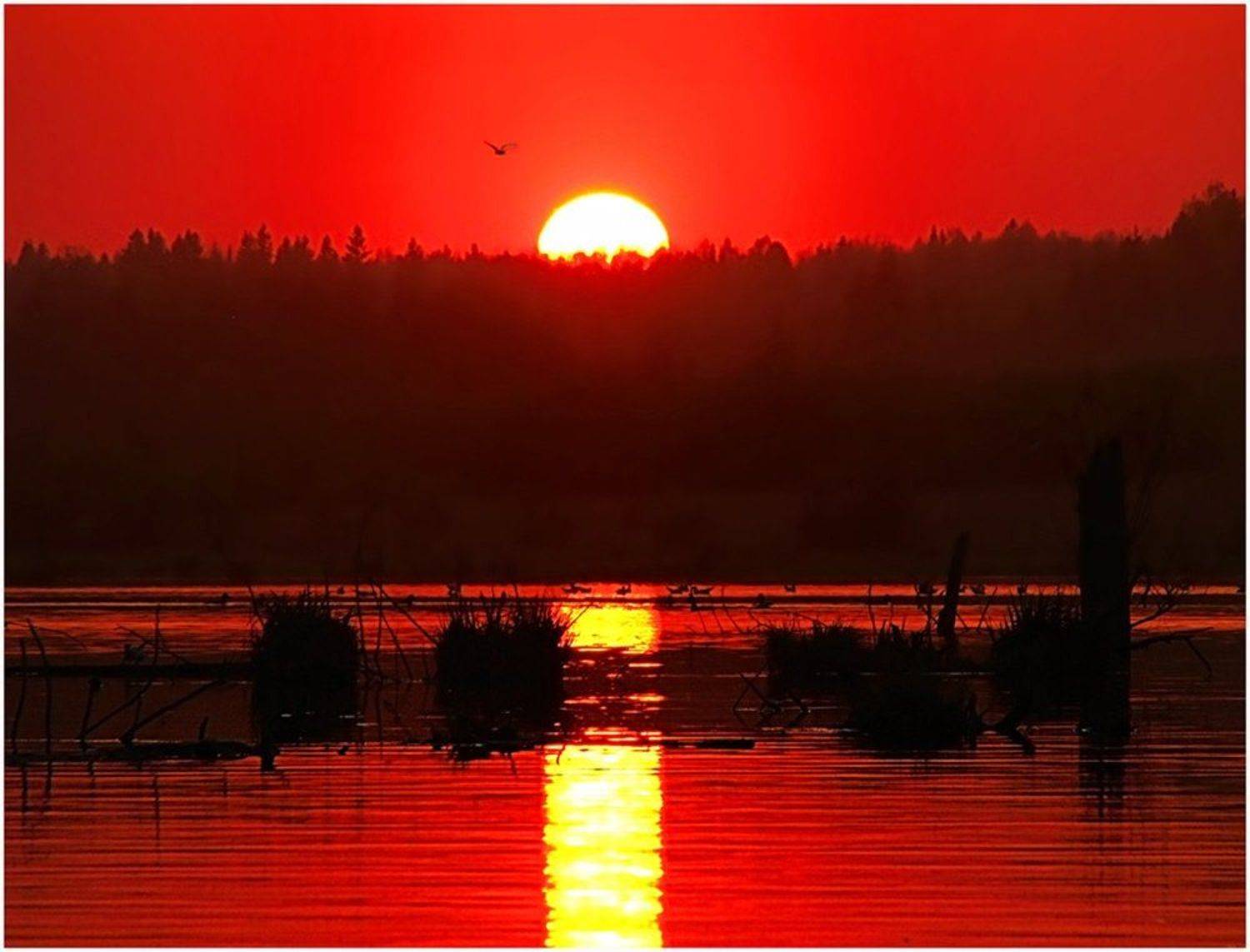 Успеть до заката.... Автор: Андрей,любитель 35photo закат,небо,солнце,пейзаж,удмуртия,пруд, Андрей,любитель 35photo