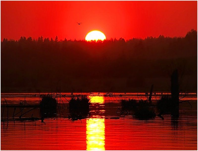 закат,небо,солнце,пейзаж,удмуртия,пруд Успеть до заката...photo preview