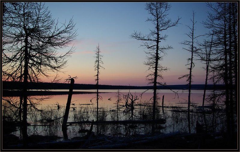 тайга, озеро, весна, ночь Графика закатаphoto preview