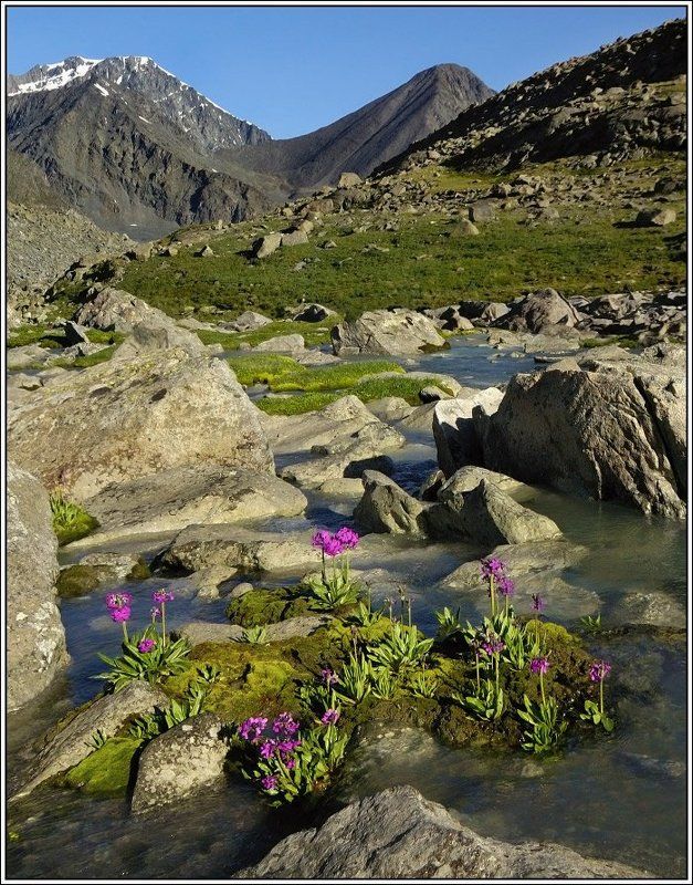 алтай, ак-оюк Оазисphoto preview