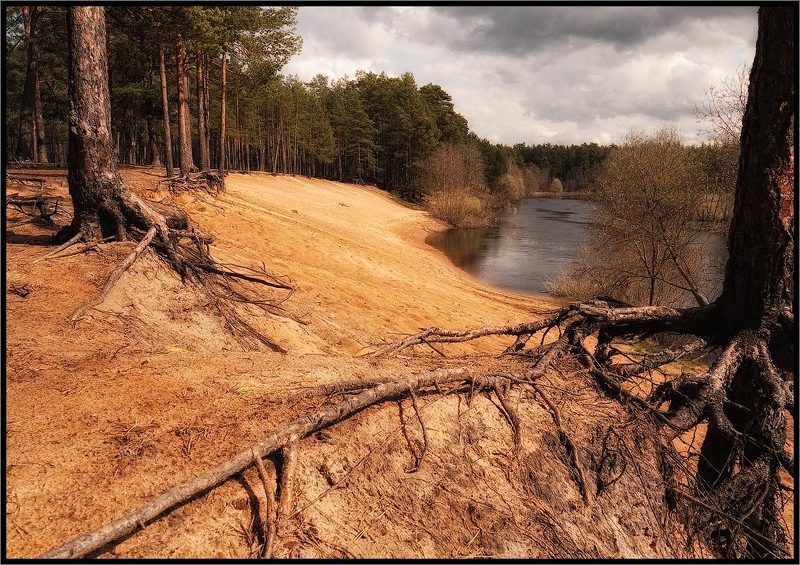 Золотой пляжphoto preview