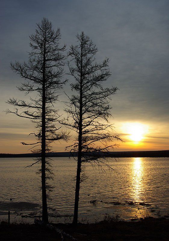 рассвет, озеро, весна, якутия Хмурое утроphoto preview