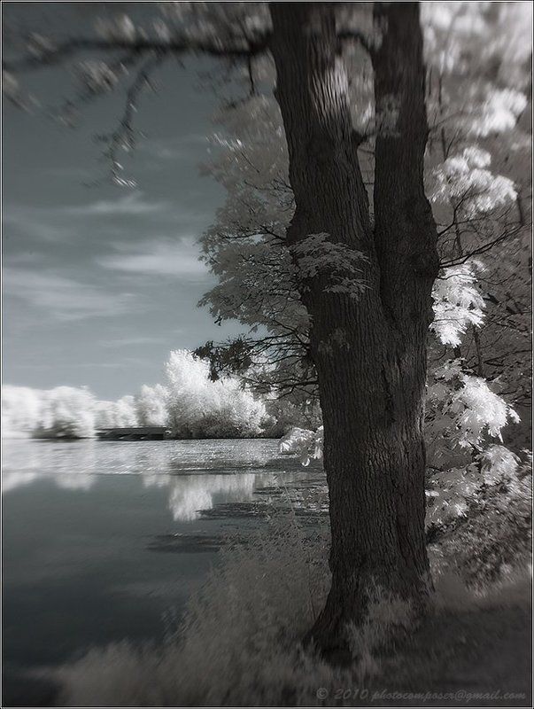 пейзаж, pilgrim, инфракрасный, infrared It\'s comming...photo preview