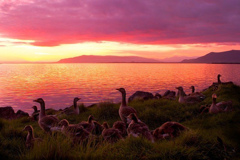 Закат в Исландииphoto preview