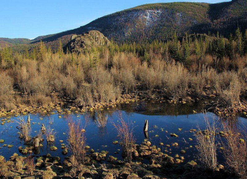 Весна на Алтае...24 мая.photo preview