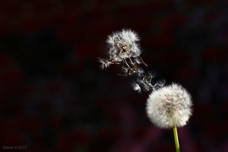 Вспышка на Солнцеphoto preview