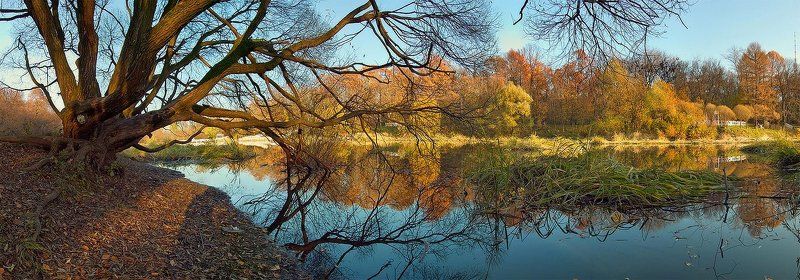 осень, вечер... Палитра уходящего вечера... фото превью