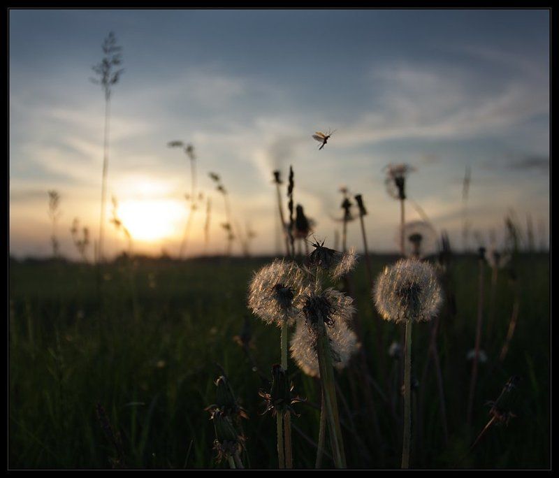 День уходящийphoto preview