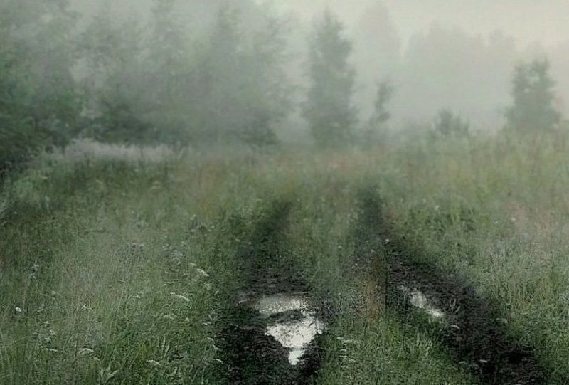 Ночные туманы уйти не спешат...photo preview