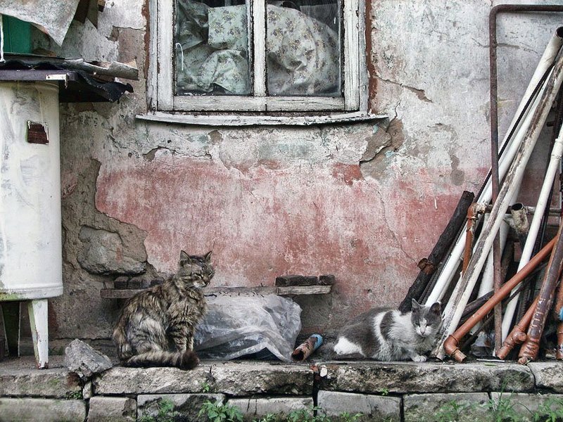 Интерьерphoto preview