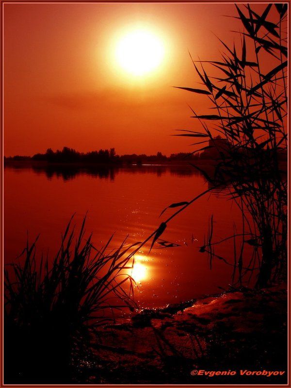 речка, восход Утроphoto preview