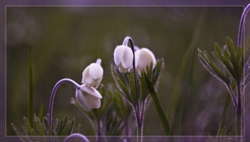 Весенний сговорphoto preview