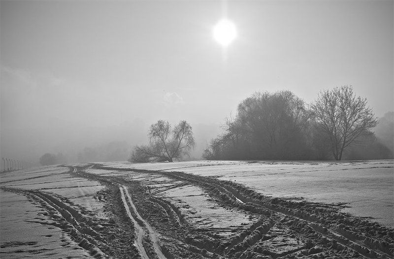 Зимаphoto preview