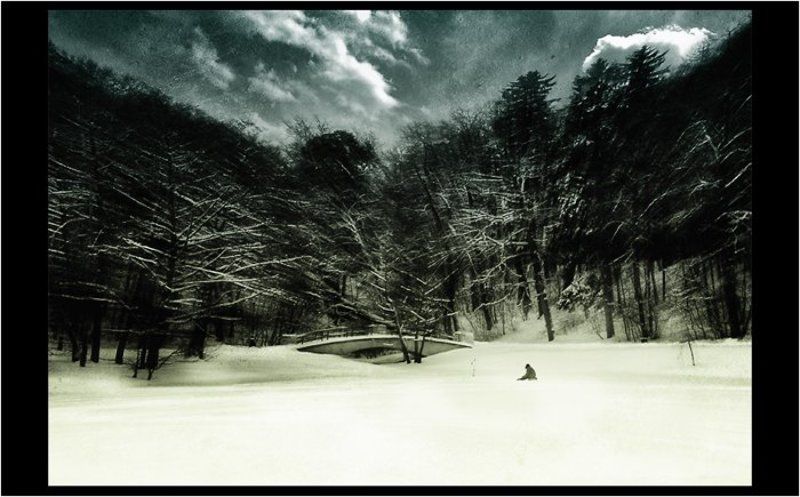 tch0rt, arthur kartashev, артур карташев fishermanphoto preview