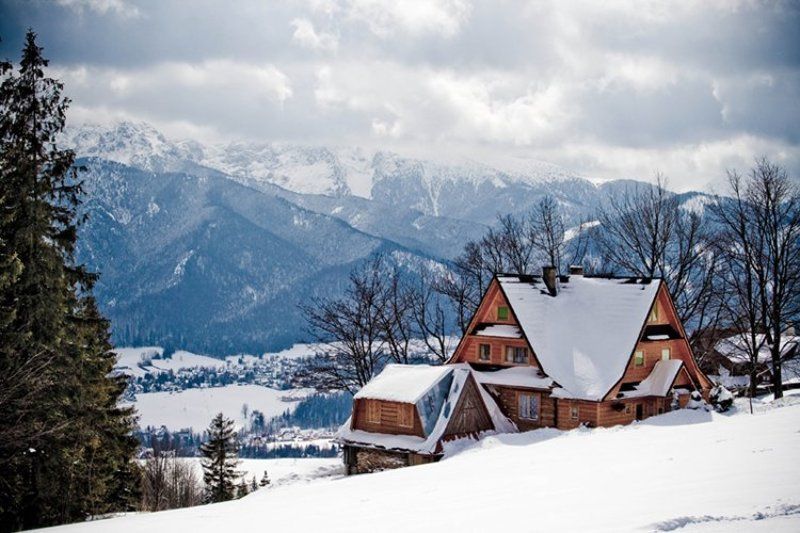 Закопанеphoto preview