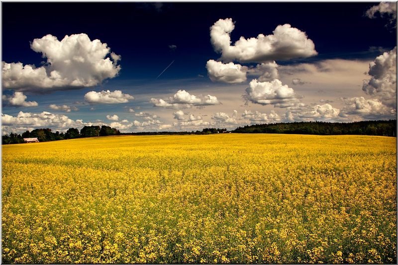 oblaka nad BIO polem...photo preview