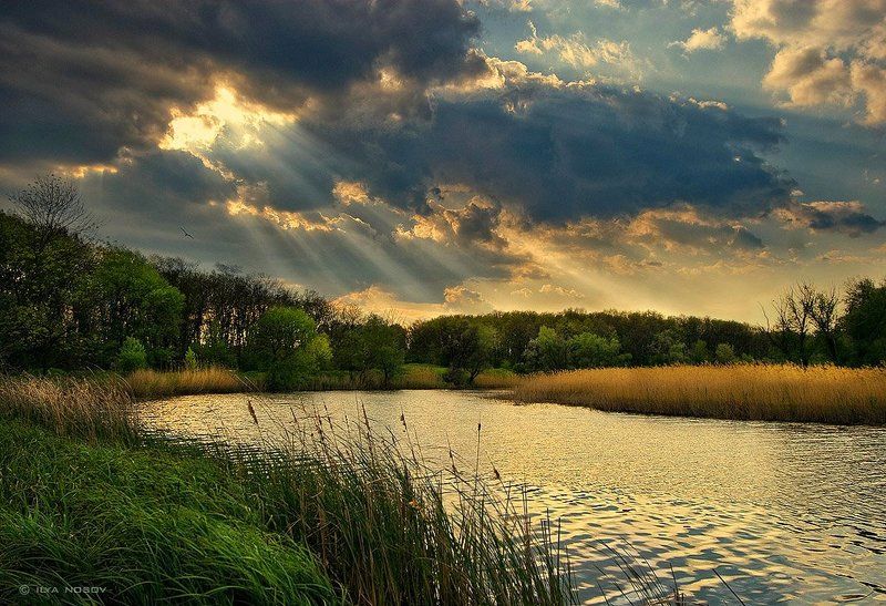 Перед грозойphoto preview