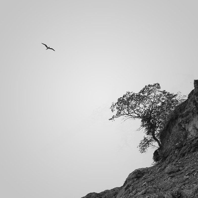 гармонияphoto preview