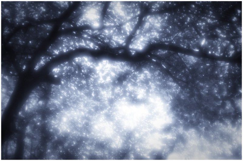 Прогулка с моноклем...photo preview