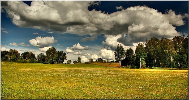 pro letnij denphoto preview