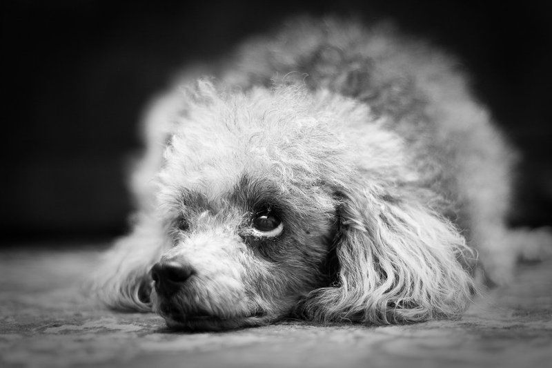 про взгляд...photo preview