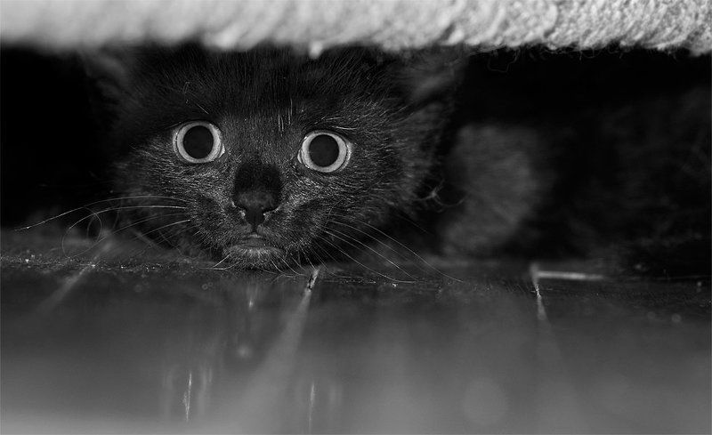 малышphoto preview