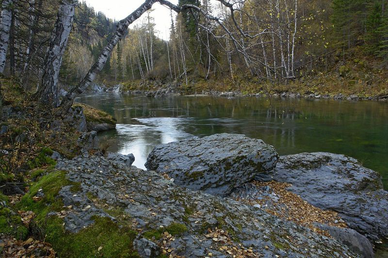 горный, алтай, река, утро \