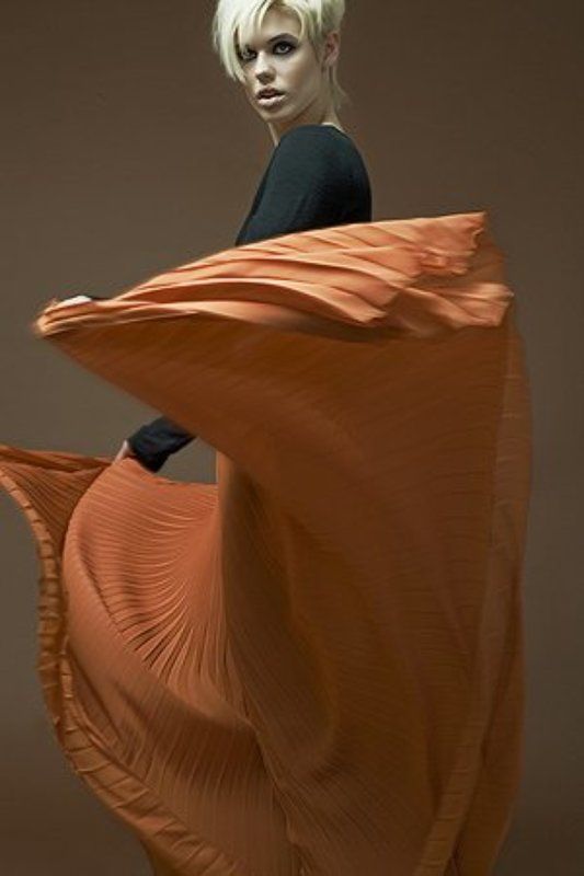 fashion, max_mara *photo preview